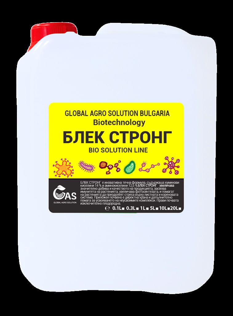 bsтронг 100