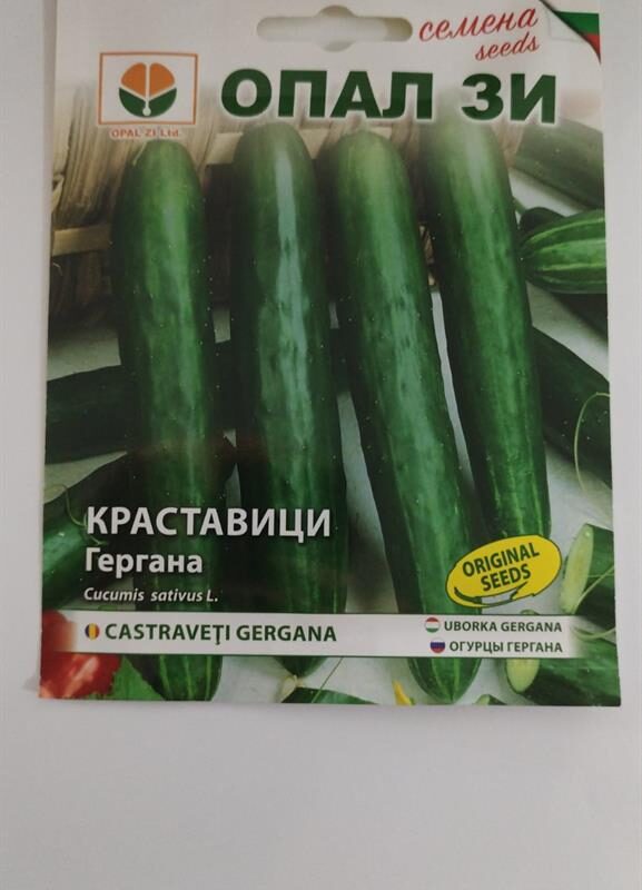 Краставици Гергана 2 гр Опал ЗИ
