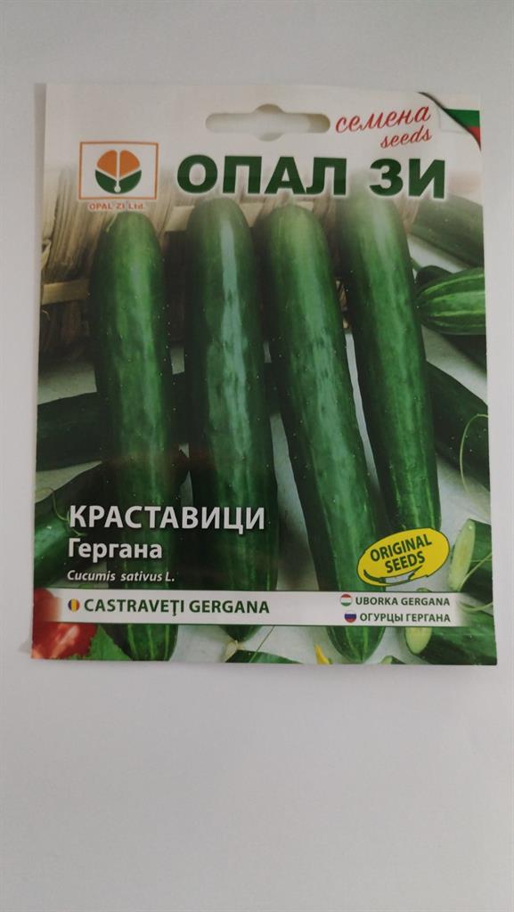 Краставици Гергана 2 гр Опал ЗИ